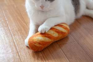猫も喜ぶパンの蹴りぐるみ